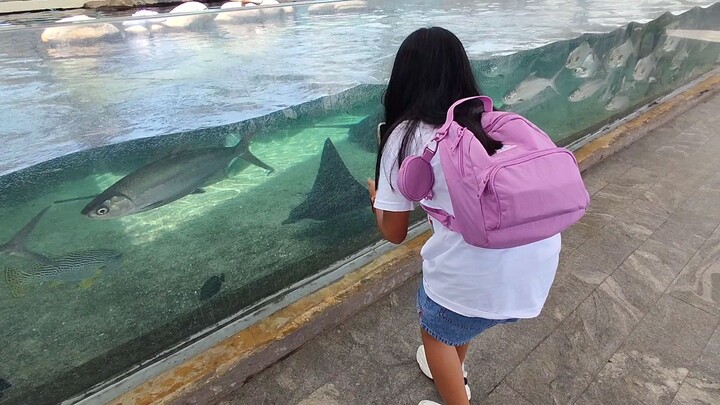 Cebu Ocean Park