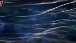 stellar transformation s6 episode 23