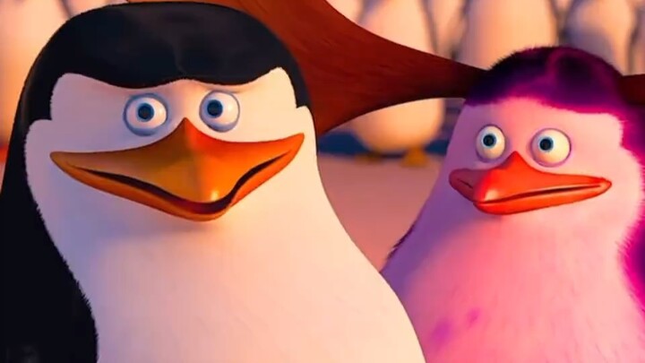 هل شاهد الجميع في طفولتهم قصة مغامرات هذه البطاريق الأربعة؟