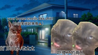 【猫meme】留子深夜嗦粉被白人老太太误以为家里马桶炸了