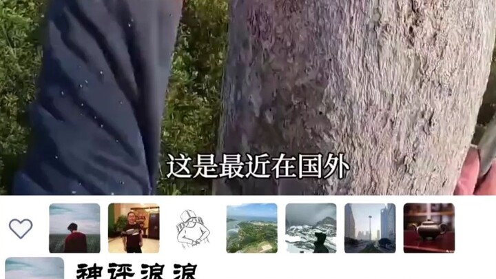 “可持续性发展”