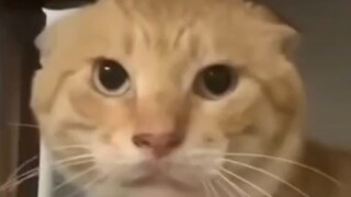 أرسلها إلى أصدقائك ولا تقل شيئًا.