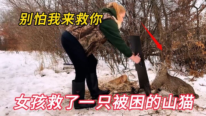 أنقذت فتاة قطاً جبلياً عالقاً، ولم تتوقع أبداً أن يعود إليها محضراً معه طفلين!