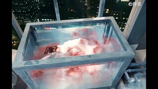我救了无数人，却救不了自己最心爱的人……