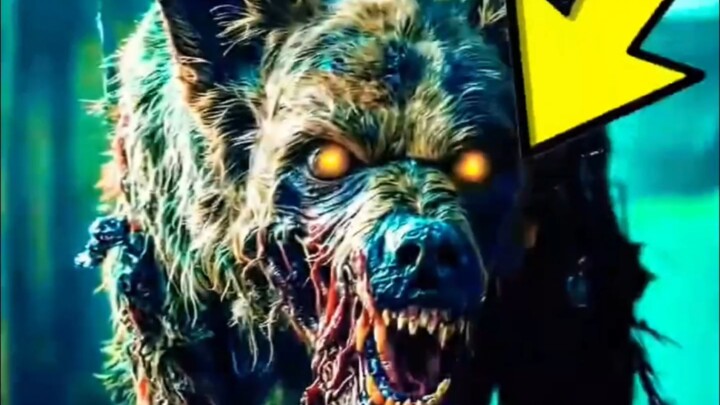 สุนัข 3 สายพันธุ์ที่อันตรายที่สุดในโลก คุณไม่ควรไปยุ่งเด็ดขาด!