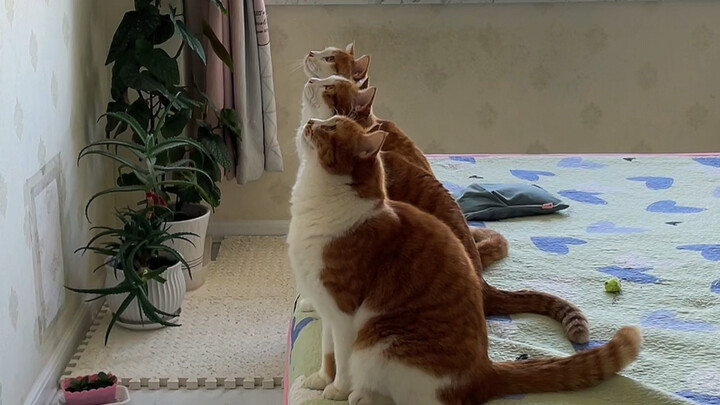 นี่มันหลุดไปอยู่ในรังยุงเลยนะ