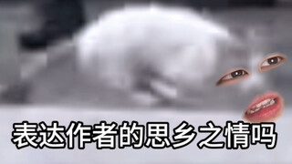 《惨遭营救》