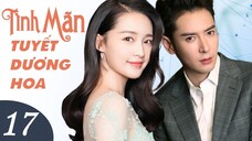 TÌNH MÃN TUYẾT DƯƠNG HOA - Tập 17