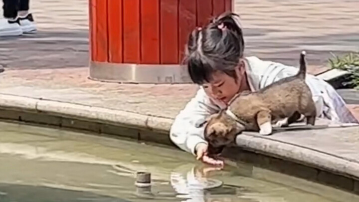 “Anjing: Yang selalu kita benci hanyalah anak-anak nakal”