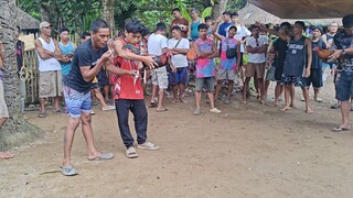 10months old (Win) vs 4yrs old