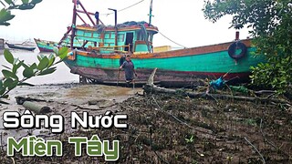 Đi Cạo Thôn Ghe Đục Hào Ăn Sống Ngồi Nhậu Bên Bờ Sông | Ngư Dân Miền Tây