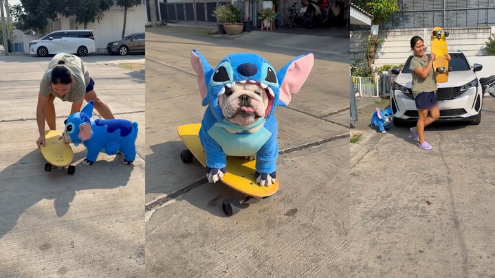 The Perfect Duo: Dog and Stitch!