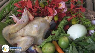 MÓN GỎI MÙA HÈ NGON KHỎI CHÊ | Hội Ngộ Miền Tây - Tập 167