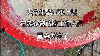 找不到工作回村，被政府工作人员重点关注了！