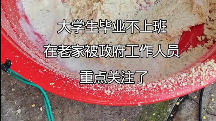 Không tìm được việc làm nên về quê, bị nhân viên chính phủ đặc biệt quan tâm!