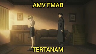 Fullmetal alchemist brotherhood AMV