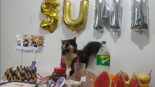 Suni's 1st Birthday || Clowder zone