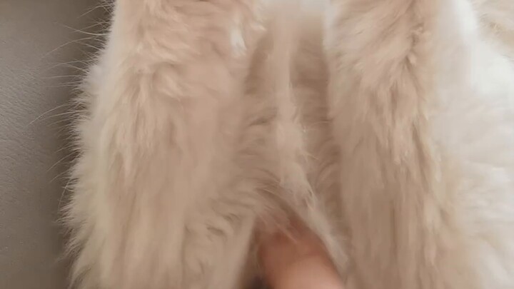 What happens if he plays with his brother while the puppet is asleep?