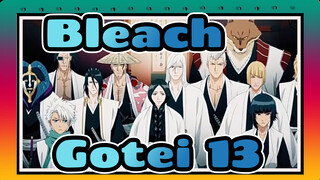 [Bleach Gotei 13, Truth of 110 Years Ago