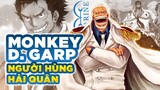 Hồ Sơ Nhân Vật One Piece - Toàn Tập Thông Tin Monkey D. Garp - Anh Hùng Hải Quân One Piece 1029