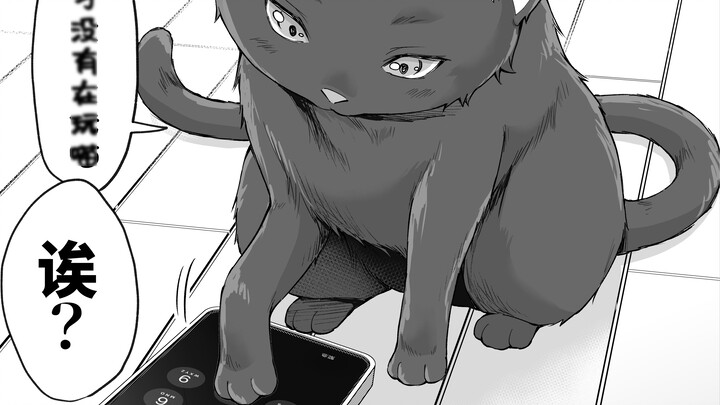 Seekor kucing yandere yang ingin membantu pemiliknya "mengatur" daftar kontak teleponnya