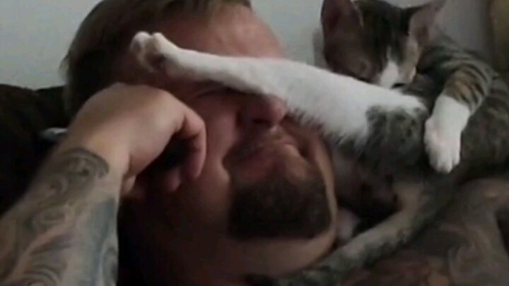 “These cats just look a bit sickly!”