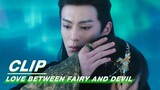 Orchid Doesn't Want To Leave Dongfang Qingcang | Love Between Fairy and Devil EP30 | 苍兰诀 | iQIYI