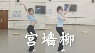 【سويزي جيانغ】ها هو الشعور بالبرودة والهدوء يظهر أخيرًا