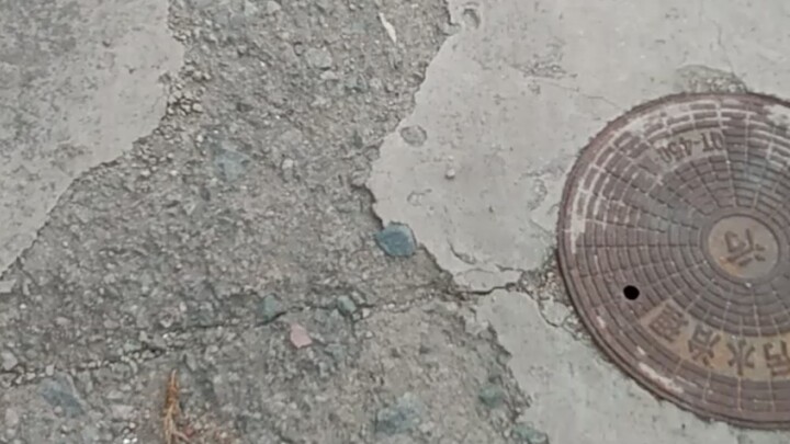 本来挺喜欢走水泥路的