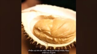 Tại sao có người thấy sầu riêng thơm, nhưng có người lại thấy thối | khám phá cuộc sống -review phim