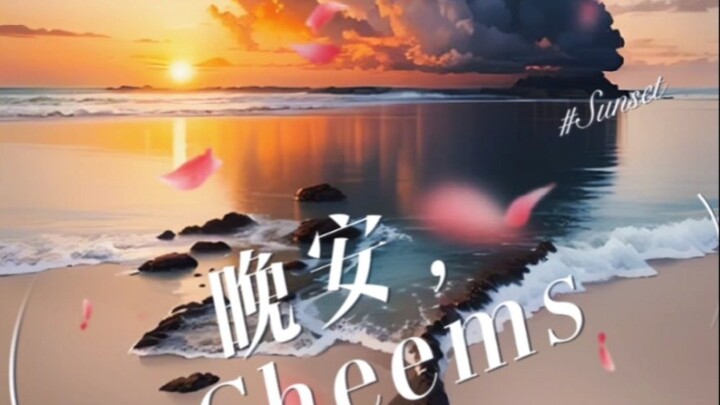 “Selamat malam, Cheems”