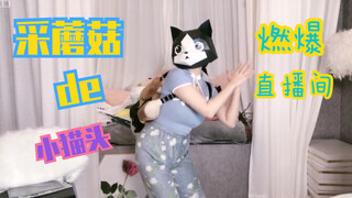 In a certain well-known female streamer's live stream, there always appear strange dances—little cat