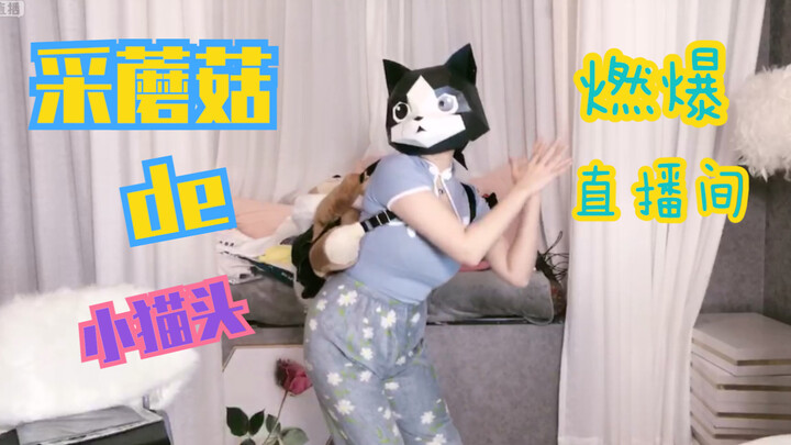 In a certain well-known female streamer's live stream, there always appear strange dances—little cat