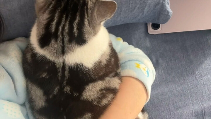 Proving to my friend that my cat only sleeps when I’m holding it.
