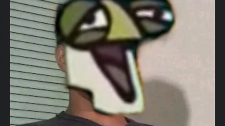 อายุ 24 ปีคือปรมาจารย์เต่า