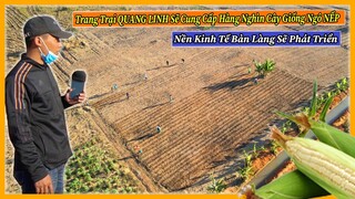 Nông Nghiệp VIỆT NAM ở Châu Phi || Quang Linh Farm Sẽ Cung Cấp Hàng Ngàn Cây Ngô Giống Cho Bản Làng