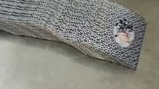 Đỉnh cao của việc bắt bài