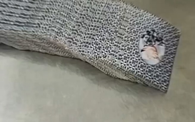 The ultimate card-grabbing experience