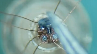Smallest motor rotor