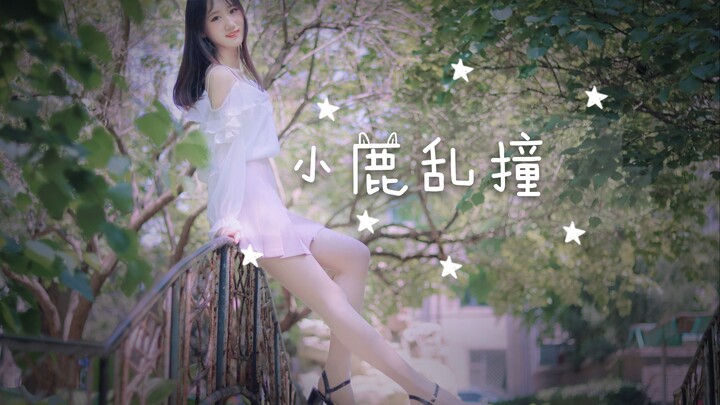 【竹熊】⭐小鹿乱撞⭐我想你做我女朋友 我想和你约会~