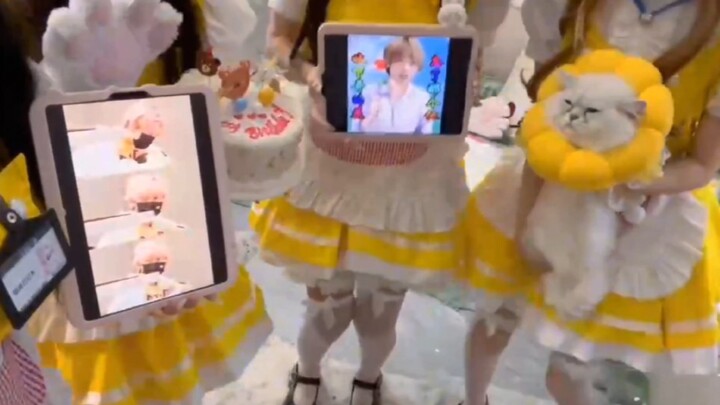 สมุดบันทึกแมว แต่เป็นโกส Goh