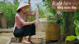 Ruột heo khìa nước dừa - Khói Lam Chiều # 107 | Pig intestines stew coconut