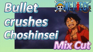 [ONE PIECE]   Mix Cut |  Bullet crushes Choshinsei