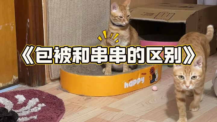 The difference between a bao bei and a chuan chuan