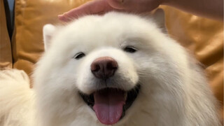 หูนี้เป็นหูไฟฟ้าใช่ไหม?