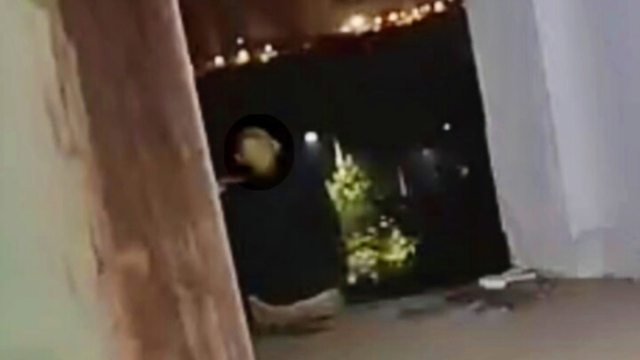 مغامرات في الهواء الطلق: التنين الصغير الماكر واللطيف يظهر مرارًا ويُمسك به، فيتعرض لخطر السقوط من ا