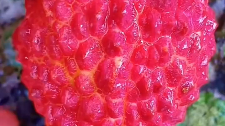 How to Identify Mental Exhaustion