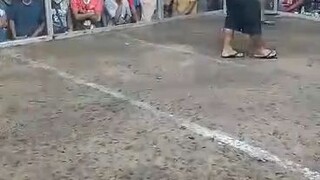 GarcesLineBulik  #Win