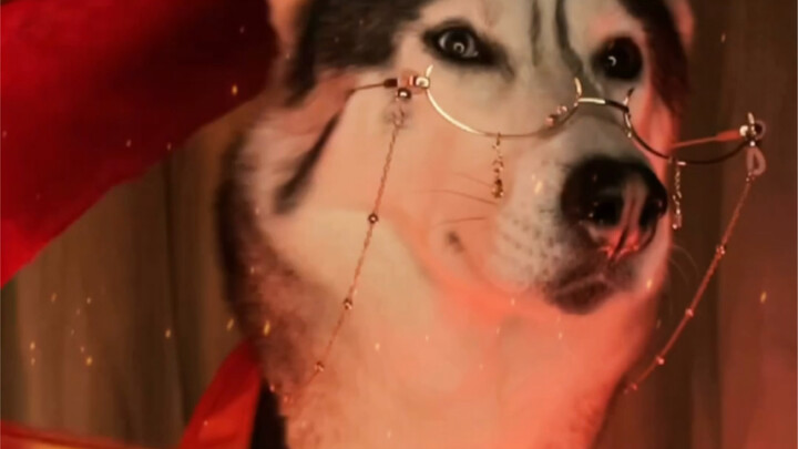 أظن أنني أستطيع الانتقال إلى قلبك.