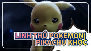 Linh thú Pokemon| Giây phút mà Pikachu khóc, cả thế giới đều phải chào thua!